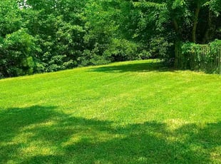 Chris S.'s grass cutting service result