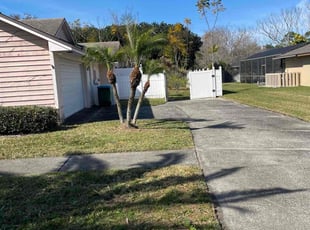 Billie H.'s Bush Trimming service result