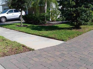 Maximiliano G.'s turf care service result