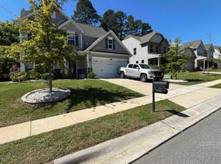 Shonda C.'s turf care service result