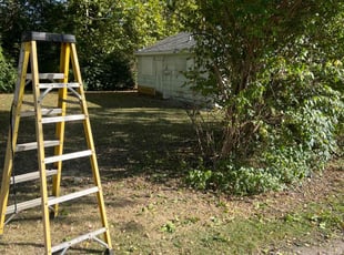 Sharon F.'s Bush Trimming service result