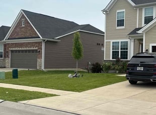 Siamak G.'s grass cutting service result