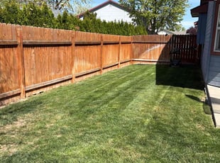Gerald C.'s lawn maintenance service result