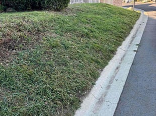 Louis G.'s lawn care service result
