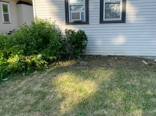 Erik K.'s Bush Trimming service result