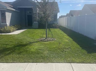 Linda M.'s lawn maintenance service result