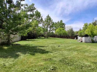 Venita Y.'s lawn care services service result