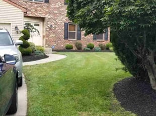 Matthew F.'s lawn care service result