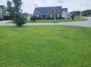 Patricia G.'s grass maintenance service result