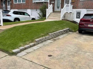 Booboo B.'s turf care service result