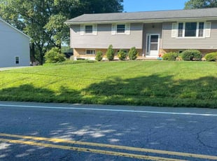 Doug D.'s turf care service result