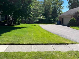 Chris W.'s gardening service service result