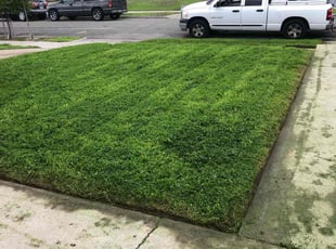 Michael W.'s lawn service service result