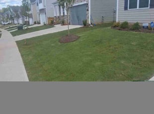 Stan D.'s grass maintenance service result
