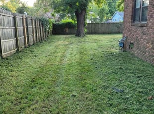 Adam B.'s lawn service service result