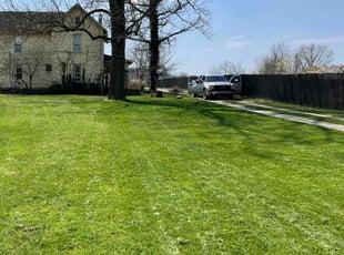 Shawna V.'s turf care service result