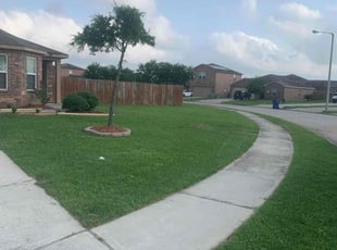 Michael E.'s lawn maintenance service result