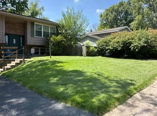 Athena S.'s lawn service service result