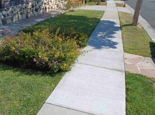 Novella F.'s turf maintenance service result