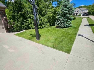 Daisy A.'s lawn maintenance service result