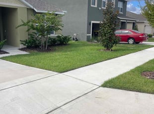 Michael F.'s turf care service result