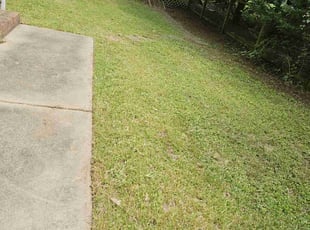 Aimee B.'s grass cutting service result