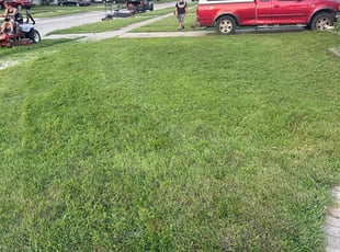 Anna G.'s turf care service result