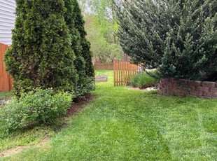 Irvin D.'s lawn maintenance service result