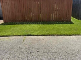 Kate L.'s lawn service service result