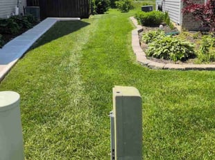 Alicia B.'s grass maintenance service result