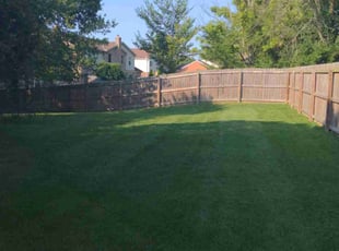 Kelly M.'s lawn care service result