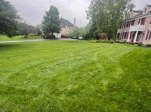Tyler M.'s lawn maintenance service result