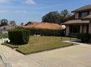 Frank T.'s grass maintenance service result