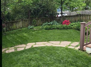 Gina S.'s lawn maintenance service result