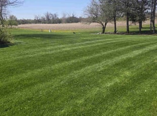 Patricia S.'s grass cutting service result