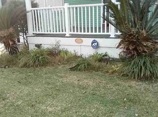 Colton B.'s Flower Bed Weeding service result