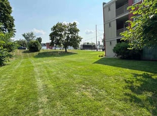 Brittany L.'s grass cutting service result