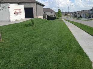 Patricia S.'s landscaping services service result