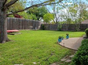 Debbie K.'s lawn care service result