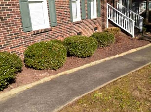 Becky B.'s Leaf Removal service result