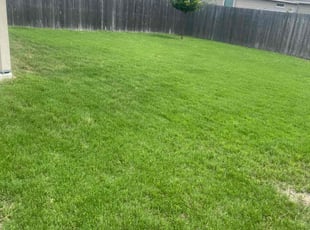 Frances J.'s grass maintenance service result
