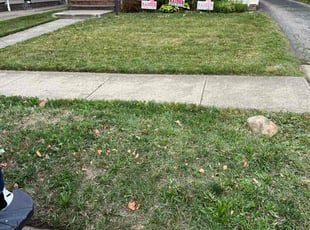 Betty B.'s lawn maintenance service result