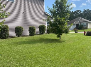 Mickala W.'s lawn care service result