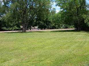 Blaise W.'s grass maintenance service result