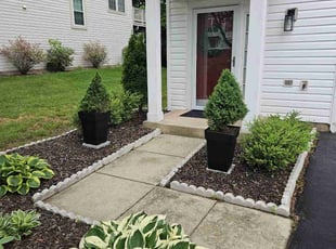 Raine A.'s turf care service result