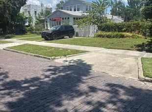 Noe R.'s lawn care service result