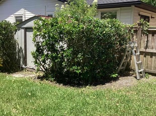 Eric H.'s Bush Trimming service result