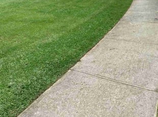 Miesha J.'s yard service service result