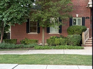Gail G.'s Bush Trimming service result