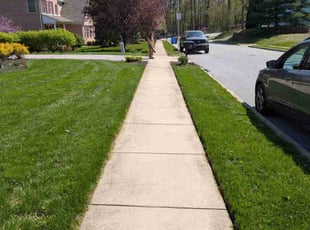 Stephanie R.'s lawn service service result